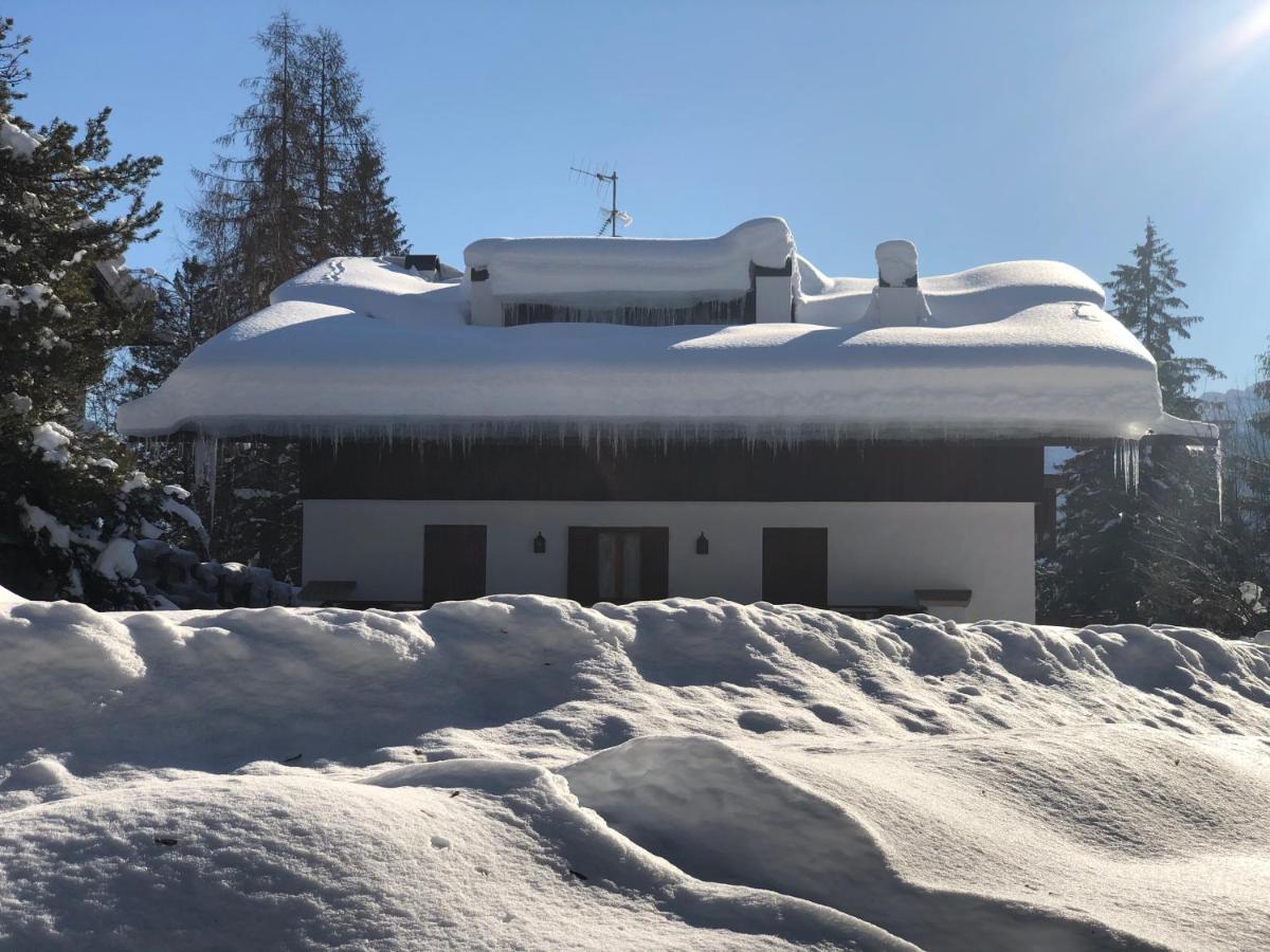 Luxury Panoramic 3Br Apt 2Min To Centre 5Min To Lifts Cortina d'Ampezzo Exterior photo